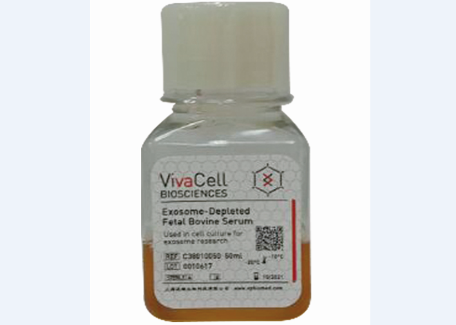 Exosome-depleted Fetal Bovine Serum