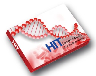 HIT-BL21(DE3) (BL21(DE3) ̬ϸ)