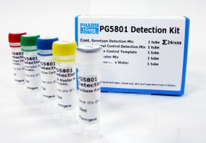 HLA-B*5801 DETECTION
